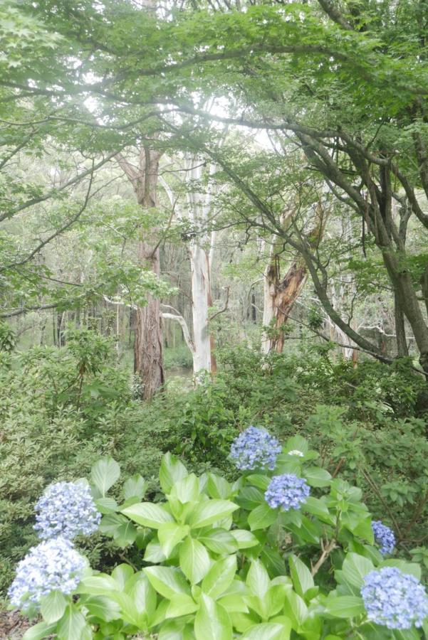 True North - 4Br Home & Garden In Bush Setting With Huge Bath Bilpin Екстер'єр фото