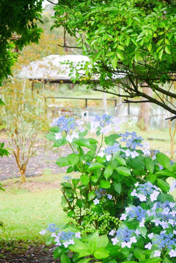 True North - 4Br Home & Garden In Bush Setting With Huge Bath Bilpin Екстер'єр фото